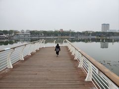 -葛仙湖公园