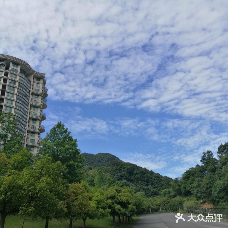 富阳华庭云顶小区, 环境优美, 四周青山绿水