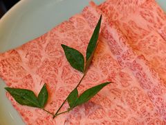 -然锅料理