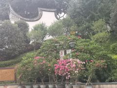 -乌山风景区