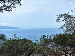 -鹿嘴山庄