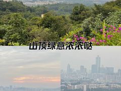 -火炉山森林公园