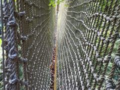 -莫里热带雨林景区