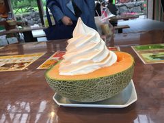 -富田农场