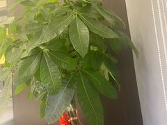 -赣江里•江西菜(望京旺角店)