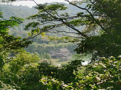 -水濂山森林公园