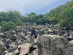 -梧桐山风景名胜区