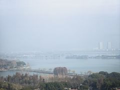 -水上明月·湖景餐厅