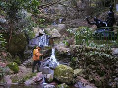 -莫干山风景区