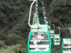 -井冈山革命烈士陵园