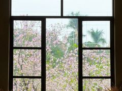 -华农酸奶文化馆
