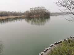 -大兴滨河森林公园