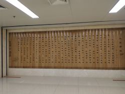 -河南中医药大学第一附属医院·皮肤美容