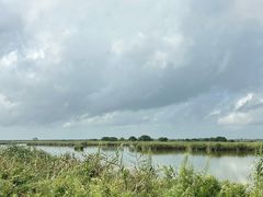 -盐城丹顶鹤湿地生态旅游区