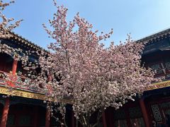 -恭王府博物馆