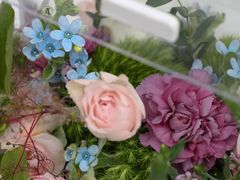 -花到家(富贵鸟花艺行)