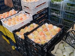 -西郊国际农产品交易中心
