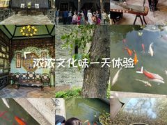 -碧江金楼