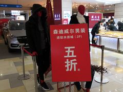 -鹏欣水游城