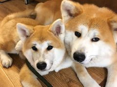 -YCHL Studios健身工作室(市二宫店)