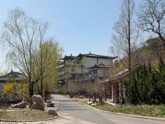 -横山寺