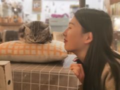 -海边的猫和咖啡馆