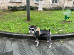 -佳雯宠物医院(四明中路分院)
