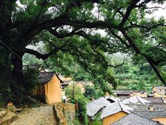 -杨家堂村