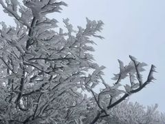 -南岳大庙