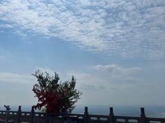 -句容茅山景区
