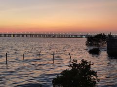 -宝安西湾红树林湿地公园