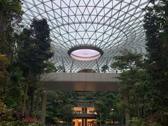 -樟宜机场免税店