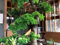 -松子料理(亮马桥店)