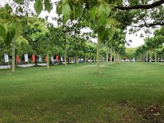 -上海海湾国家森林公园