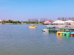 -上海长兴岛郊野公园