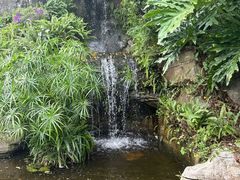 -广州市白云山风景名胜区