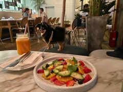 -the rug 飞毯 (朝阳公园店)