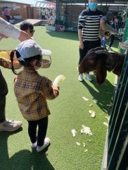 -小蜜蜂农场(凯德七宝购物广场店)