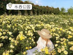 -西青郊野公园