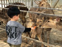 -迪茵湖田家舍生态农场