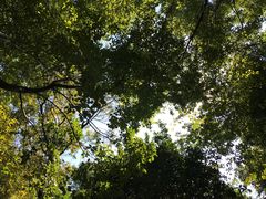 -东水关遗址公园