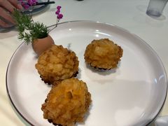 -丁老爷子苏香圆