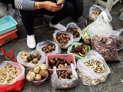 -南门绿玉农贸市场