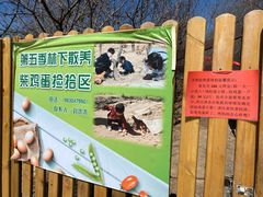 -第五季龙水凤港生态露营农场
