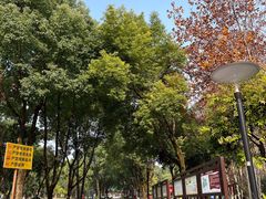 -重庆彩云湖湿地公园