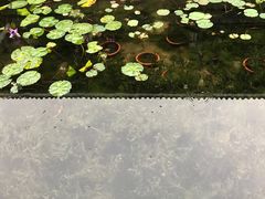 -长洲岛