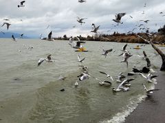 -捞渔河湿地公园