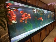 -弘安丽水温泉酒店