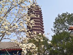 -西海子公园