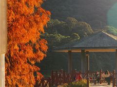 -广州市石门国家森林公园
